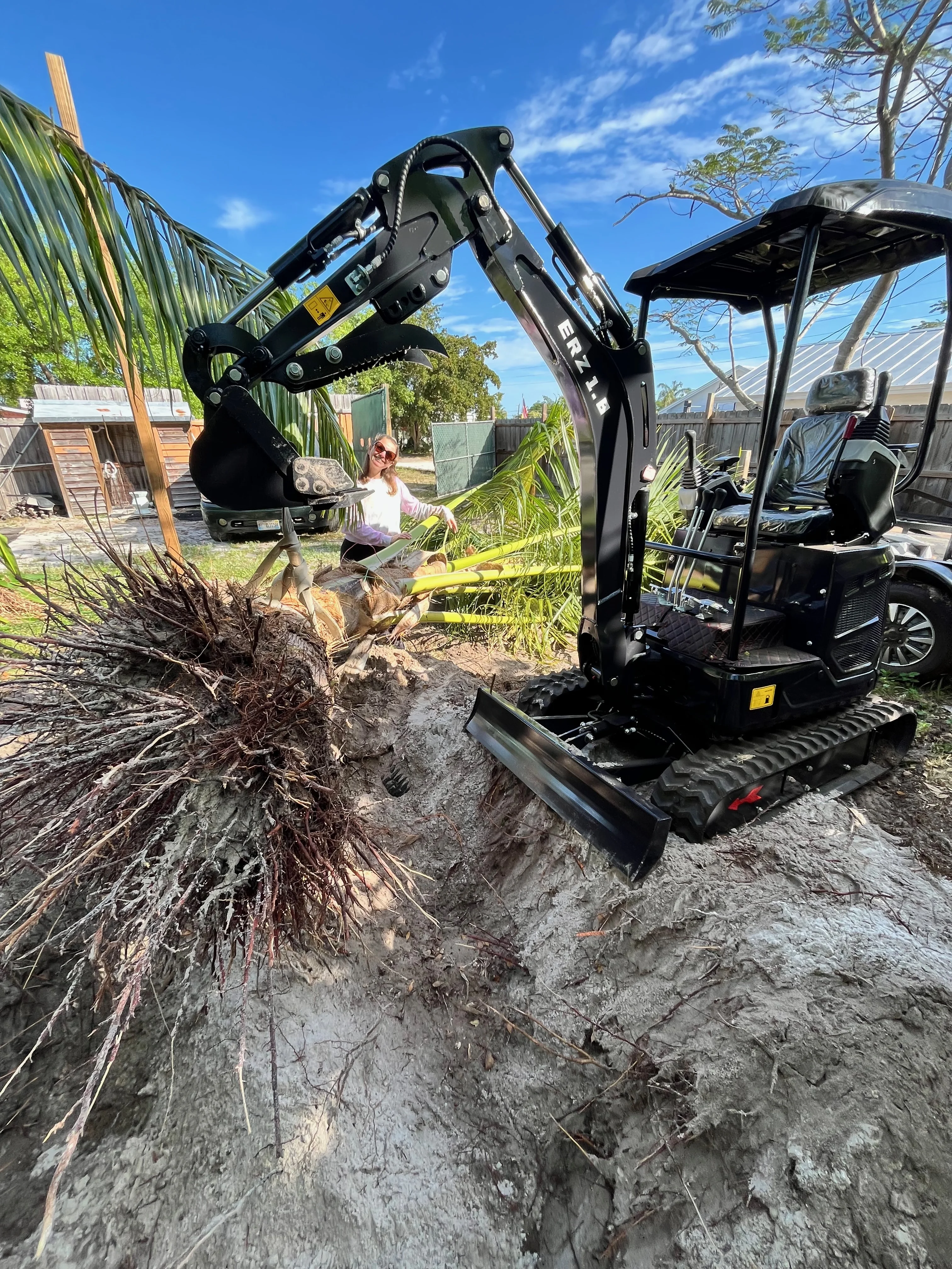 Mini excavator palm tree stump removal Jensen Beach FL
